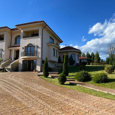 Vila Daria 3 Rucar  Exterior photo